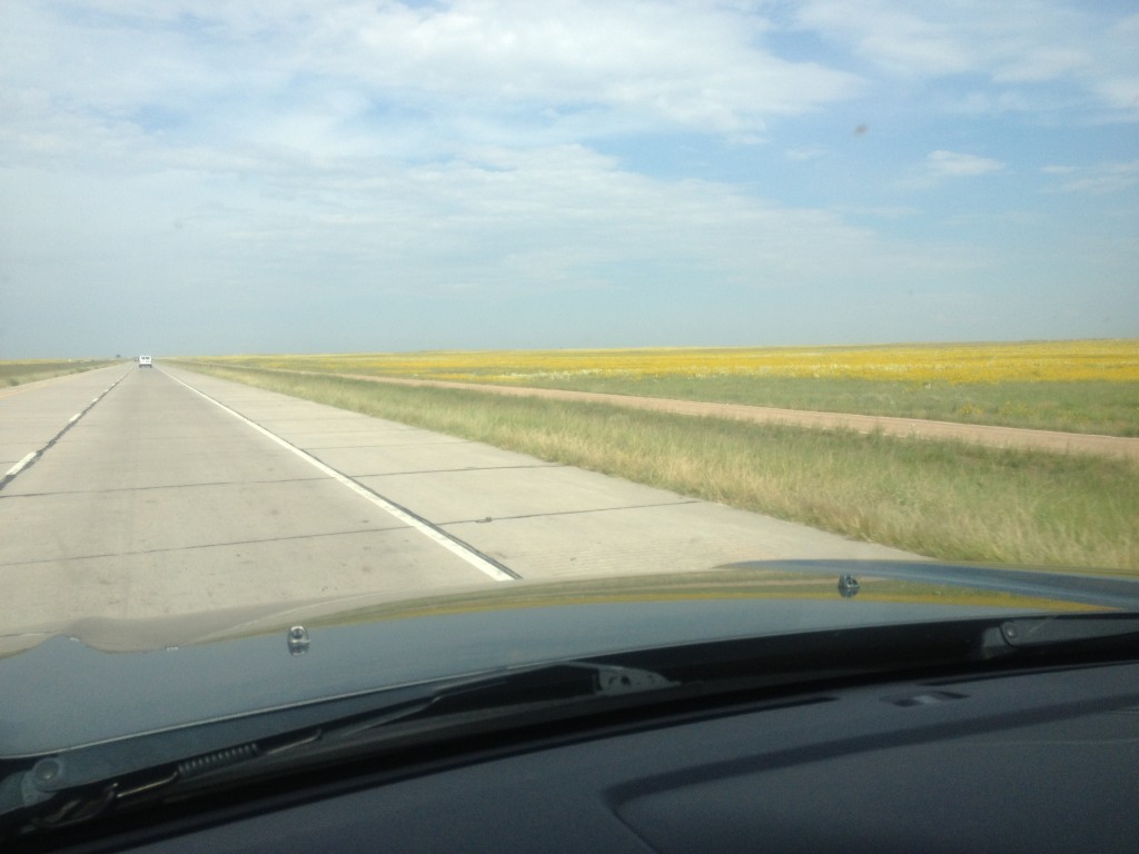 The endless fields of wild sunflowers helped keep me company on my drive to Nebraska in August.