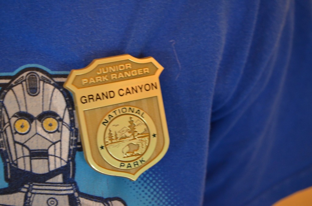 A close up of the badge.