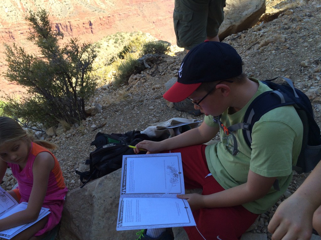 Here's Timmy working on his activities while on the Hermit Trail, during our ranger-led program.